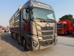 Foton Auman EST Star Shine Edition 580 hp 8X4 9.56 m - photo 3