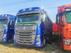 Dongfeng Liuzhou Chenglong H7 500 hp 8X4 9.47 m - ფოტო 1