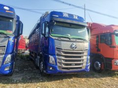 Dongfeng Liuzhou Chenglong H7 500 hp 8X4 9.47 m - ფოტო 2