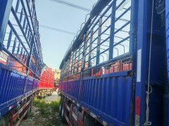 Dongfeng Liuzhou Chenglong H7 500 hp 8X4 9.47 m - ფოტო 5