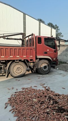 Foton Forland Pilot ES5 220 hp 6X2 6.8 m - photo 1