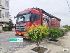 Foton Auman EST 430 hp 8X4 9.45 m - фото 2