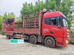 Foton Auman EST 430 hp 8X4 9.45 m - фото 3