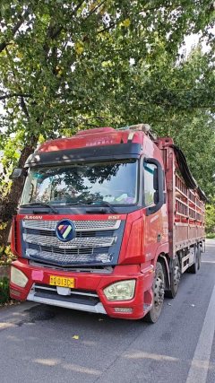 Foton Auman EST 430 hp 8X4 9.45 m - photo 1