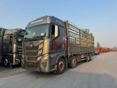 Foton Auman EST Star Shine Edition 580 hp 8X4 9.56 m - фото 1