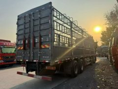 Foton Auman EST Star Shine Edition 580 hp 8X4 9.56 m - фото 7