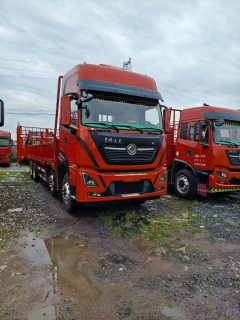 Dongfeng Tianlong KL 465 hp 8X4 - photo 5