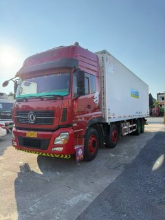 Dongfeng Tianlong VL - фото 1
