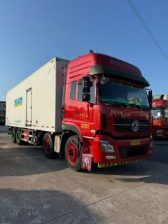 Dongfeng Tianlong VL - фото 2