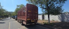 FAW Jiefang J6L 240 hp 4X2 6.75 m - photo 3