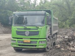 Dongfeng Huashen T5 300 hp 8X4 6 m - фото 1