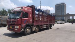 Dayun N9H 350 hp 8X4 9.4 m - ფოტო 10
