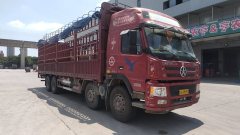 Dayun N9H 350 hp 8X4 9.4 m - ფოტო 9