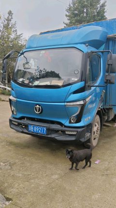 Feidie W5 150 hp 4X2 4.18 m - ფოტო 1