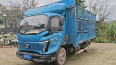 Feidie W5 150 hp 4X2 4.18 m - ფოტო 2