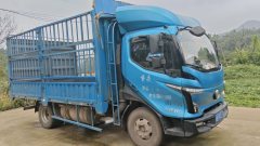 Feidie W5 150 hp 4X2 4.18 m - ფოტო 3