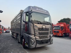 Foton Auman EST Star Shine Edition 580 hp 8X4 9.56 m - photo 3