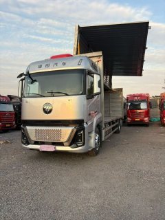 Foton Auman GTL Xingyi Edition 300 hp 4X2 9.6 m - photo 3