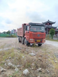 Dayun Maxima 185 hp 6X2 4.8 m - ფოტო 3