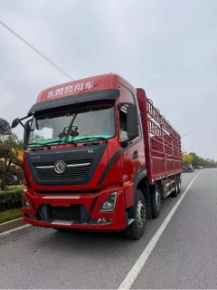 Dongfeng Tianlong KL 465 hp 8X4 9.6 m - ფოტო 1