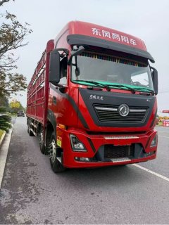 Dongfeng Tianlong KL 465 hp 8X4 9.6 m - ფოტო 2