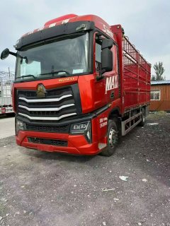 Sinotruk HOWO Max 290 hp 4X2 6.75 m - photo 1