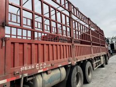 FAW Jiefang JH6 460 hp 8X4 9.5 m - photo 5