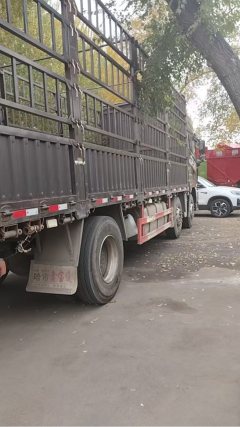 FAW Jiefang J6G 290 hp 6X2 7.7 m - photo 6