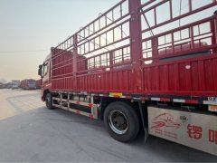 Sinotruk HOWO Max 290 hp 4X2 6.75 m - ფოტო 8