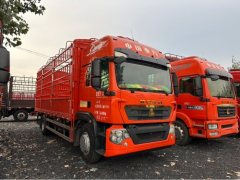 Sinotruk HOWO TX7 290 hp 4X2 6.8 m - photo 3