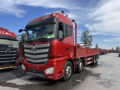 Foton Auman EST 460 hp 8X4 9.6 m - ფოტო 1