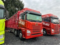 FAW Jiefang JH6 460 hp 8X4 9.5 m - photo 3