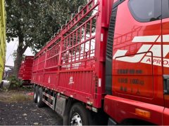FAW Jiefang JH6 460 hp 8X4 9.5 m - photo 4