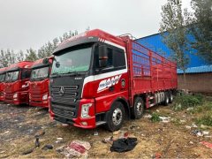 SANY 430 hp 8X4 9.5 m - ფოტო 1