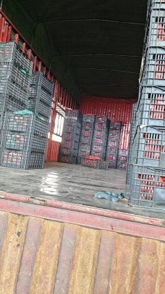 FAW Jiefang J6L 240 hp 4X2 6.75 m - photo 4
