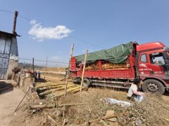 FAW Jiefang J6L 240 hp 4X2 6.75 m - photo 5