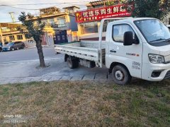 Foton Xianglin M2 Pro 122 hp 4X2 4 m - photo 2