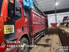FAW Jiefang J6L 240 hp 4X2 - photo 1