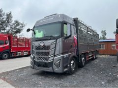 Foton Auman EST Star Shine Edition 580 hp 8X4 9.56 m - photo 1
