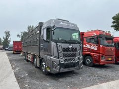 Foton Auman EST Star Shine Edition 580 hp 8X4 9.56 m - photo 3
