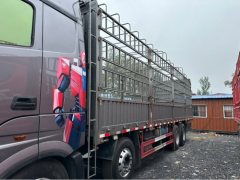 Foton Auman EST Star Shine Edition 580 hp 8X4 9.56 m - photo 5