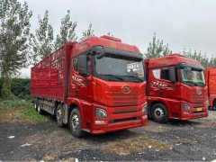 FAW Jiefang JH6 510 hp 8X4 9.5 m - фото 3