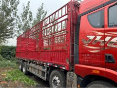 FAW Jiefang JH6 510 hp 8X4 9.5 m - фото 4