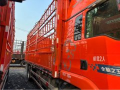 Sinotruk Sitrak G5 290 hp 4X2 6.8 m - photo 4
