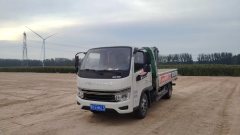 Foton Forland S1 120 hp 4X2 2.7 m - ფოტო 1