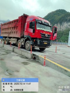 SAIC Hongyan Genlyon 520 hp 8X4 8.6 m - ფოტო 2
