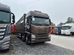 FAW Jiefang JH6 460 hp 8X4 9.5 m - photo 3