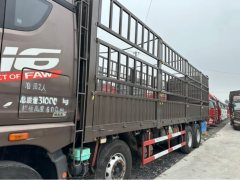 FAW Jiefang JH6 460 hp 8X4 9.5 m - photo 4