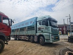 FAW Jiefang JH6 520 hp 8X4 9.5 m - ფოტო 1