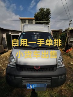 Wuling Rongguang Mini Truck 102 hp 4X2 2.84 m - фото 2